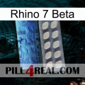 Rhino 7 Beta 34